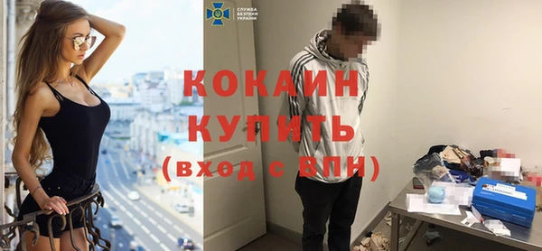 индика Абинск