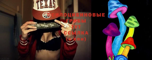 PSILOCYBIN Каменногорск