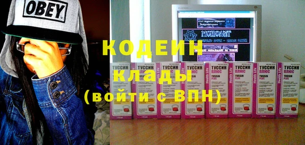 индика Абинск