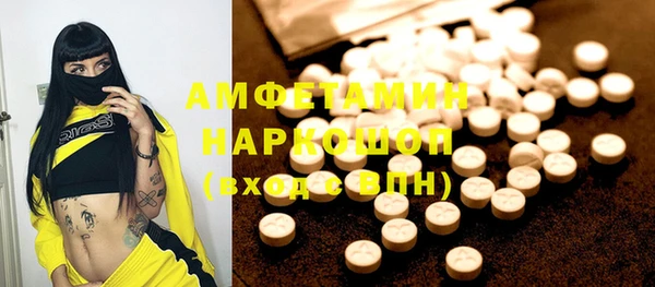 индика Абинск