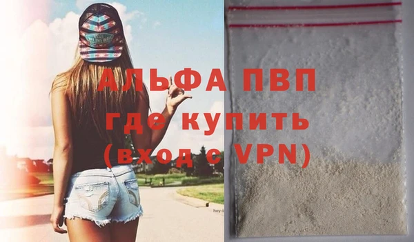 индика Абинск