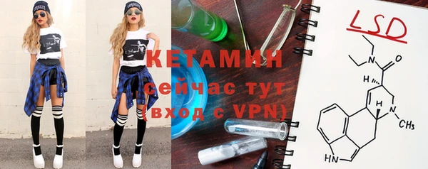 индика Абинск